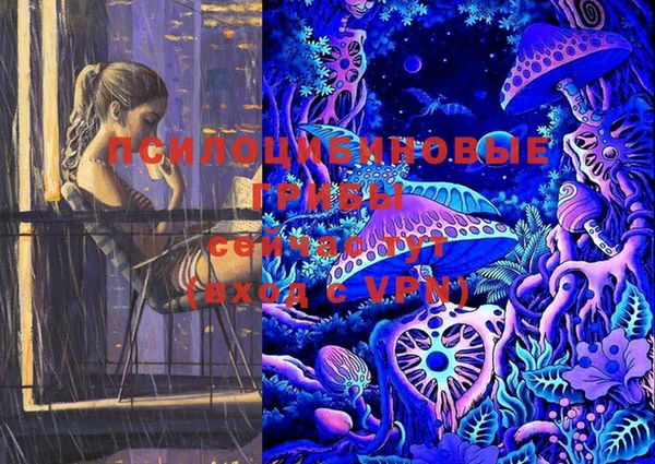 PSILOCYBIN Зеленодольск