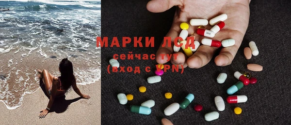 СК Зерноград