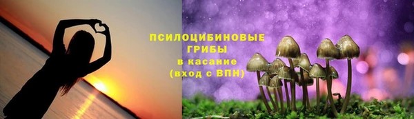 винт Зеленокумск
