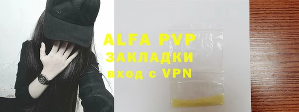 СК Зерноград