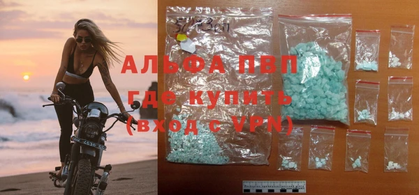 СК Зерноград