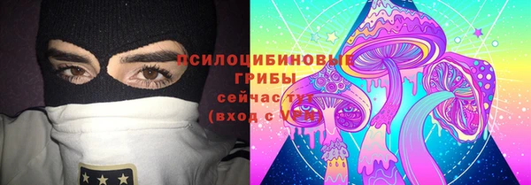 СК Зерноград