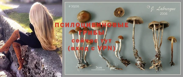 СК Зерноград