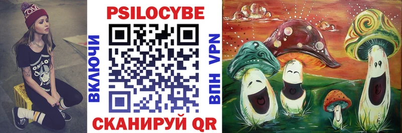 Купить  Электросталь  Псилоцибиновые грибы Psilocybine cubensis 
